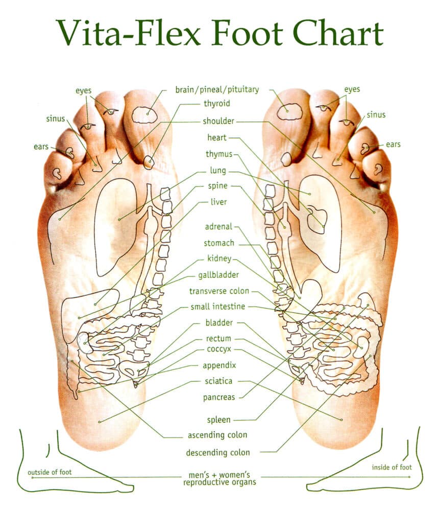 Vita Flex Foot Chart | Using the Best Essential Oils